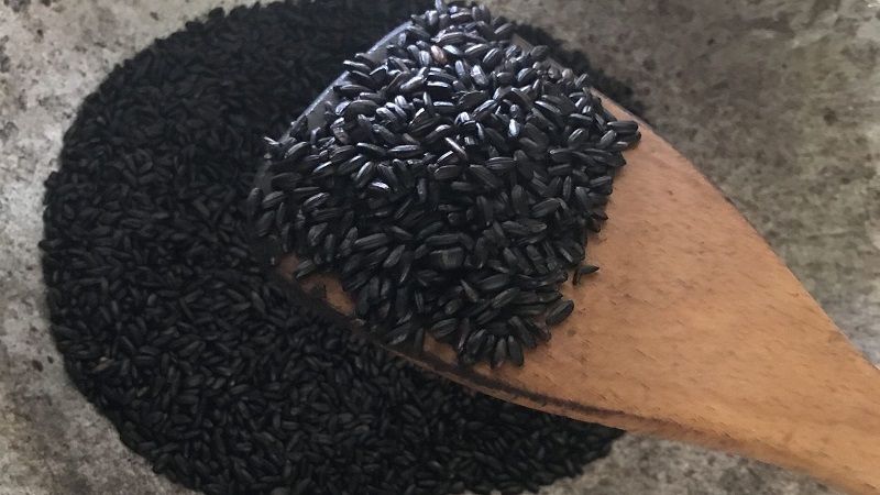 Ứng dụng của than hoạt tính trong y học